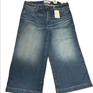 Torrid High Rise Wide Leg Jeans 18